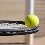 Image de Tennis club de Larmor-Plage